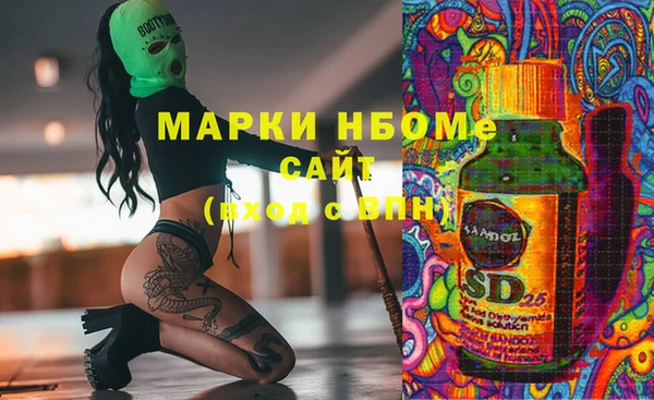 стафф Арсеньев
